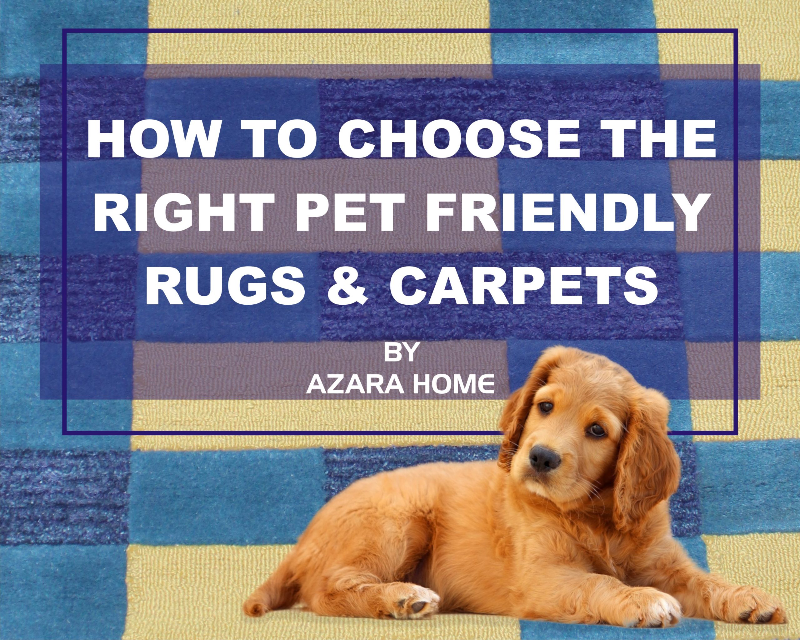 Choosing a Pet-Friendly Rug - Rugs Express